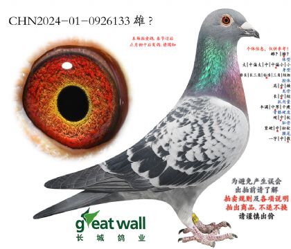 5.����x�޵����а�.0926133