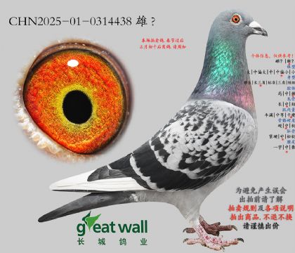 8.��ѻ��ض�x�����˹.0314438