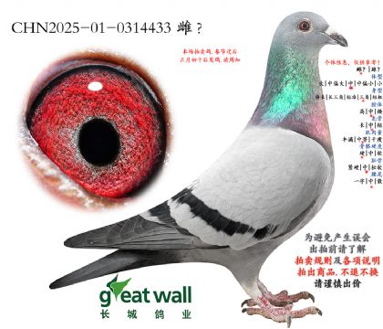 7.��ʱ��x����Ѫϵ.0314433