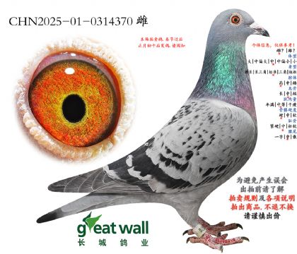 11.����������������Ӵ�.0314370