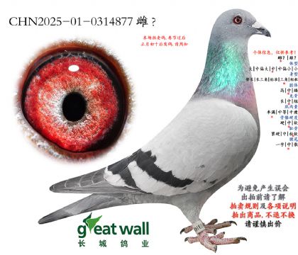 9.��ʱ��x������.0314877