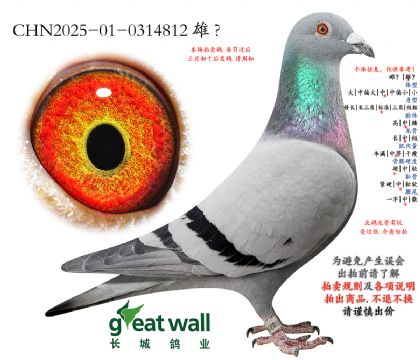 10.����С�ӽ�Ѫ.0314812