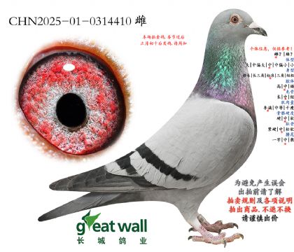 14.�ƽ��������.0314410