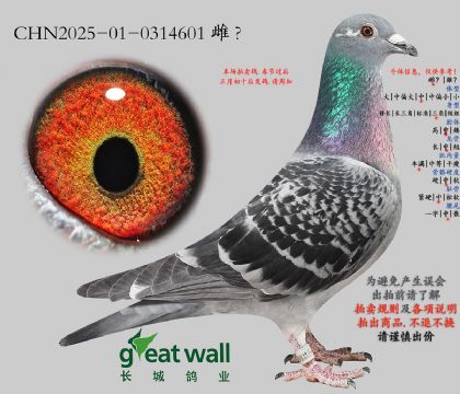 12.���ھ���12��ƽ��.0314601