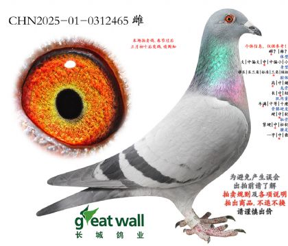 16.��ʱ��911����Ӵ�.0312465