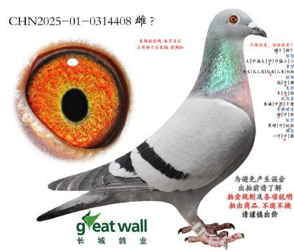 15.��ԴԤ��20��ƽ��.0314408