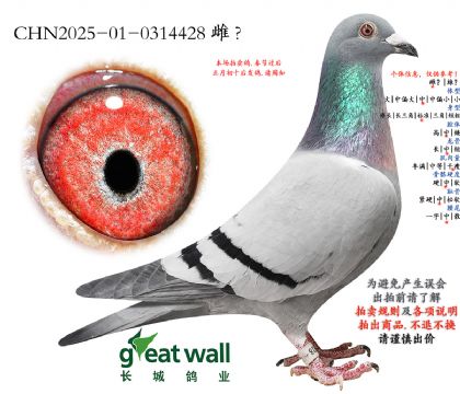 18.ͼ��˹������Ѫ.0314428