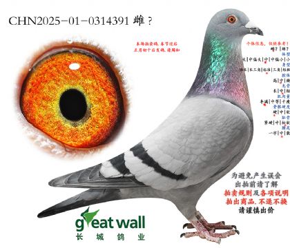 19.�����߸����Ǿ��Ӵ�.0314391