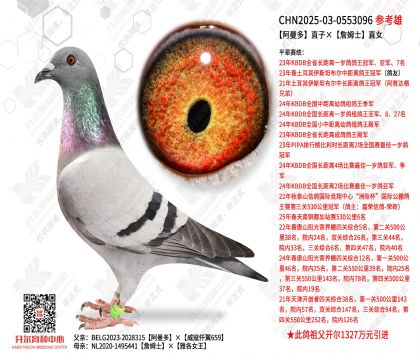 ������ֱ�ӡ�ղķʿֱŮ