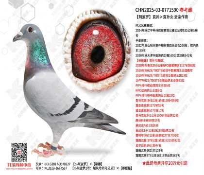 ������ֱ���ֱ��Ů  ��������