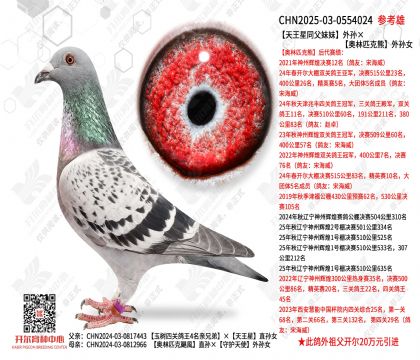 ������ͬ���������������ƥ��������Ů