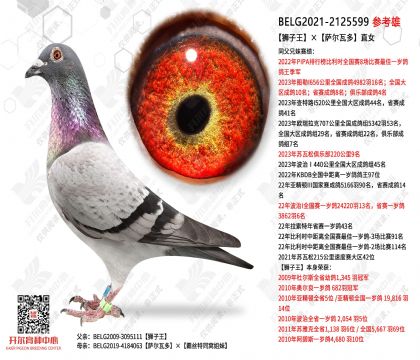 ʨ�����������߶�ֱŮ