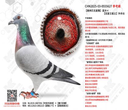 ����ƥ����¡ֱ�����ɪ���游����Ů