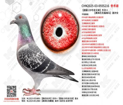 ����139�����ֵ����������ƥ�˸�»��ֱ��Ů