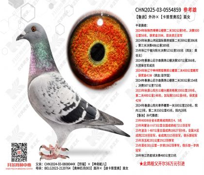 ³����������������ֱŮ