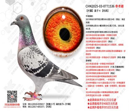 Ǫ��ֱ�ӡ�����