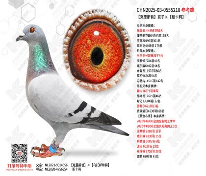 ����˹��ֱ�ӡ�˹����