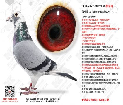 ���ʡ���˿��¶��˿729