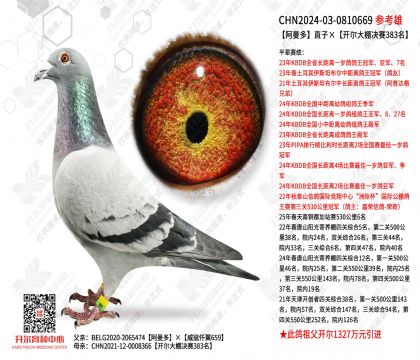 ������ֱ�ӡ������������383��