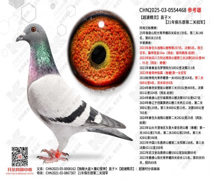 ���پ���ֱ�ӡ�21����ֲ��ڶ��عھ�