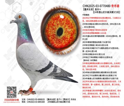 ħ��Ů��ֱ���24����ɽ���ɭ����373��