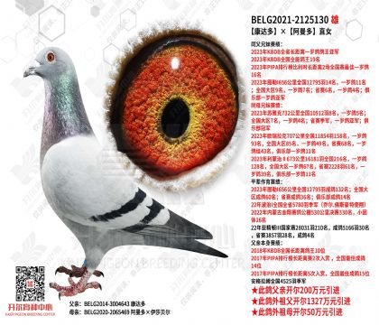 ������������ֱŮ