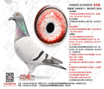 ��Ӱ���׵ܵ�ֱ�ӡ��������ֱ��Ů