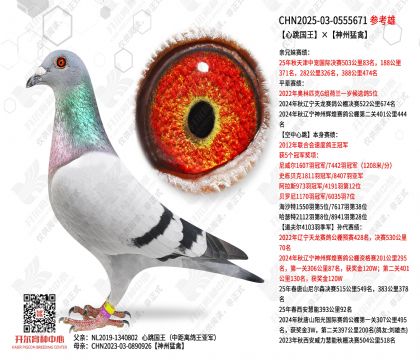 ������������������