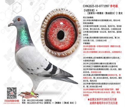 ������ŵ���ʼһ�ֱŮ