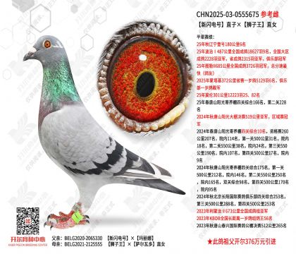 �������ֱ�ӡ�ʨ����ֱŮ