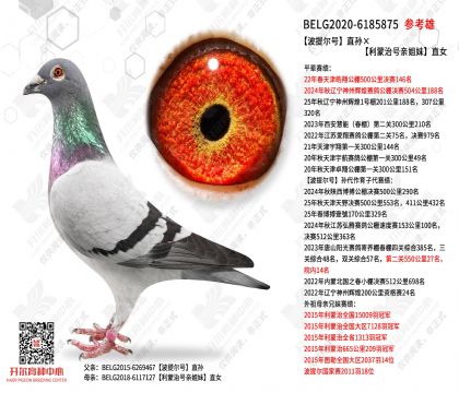 �������ֱ��������κ��׽���ֱŮ