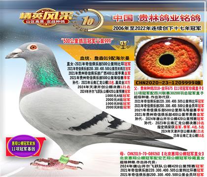 ����11헹�܊ֱ��