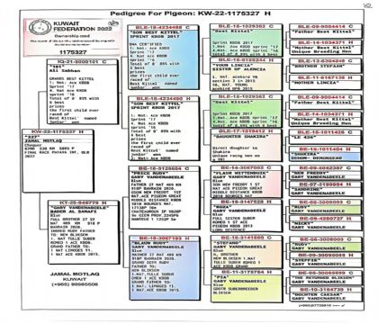 4.芭提雅决赛82名.1175327xx