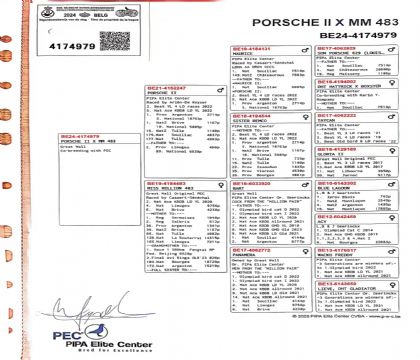 6.保时捷二世子代.4174979xx