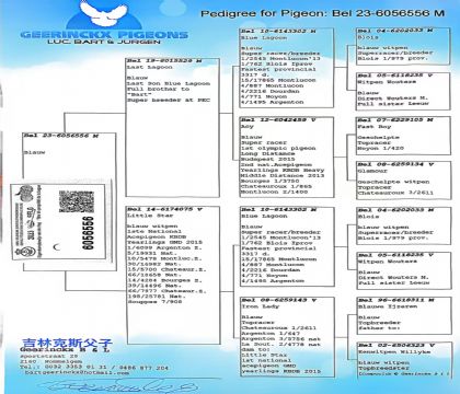 12.吉林克斯原舍.6056556xx