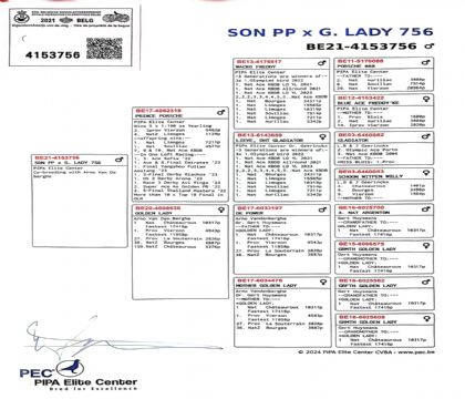 13.保时捷王子子代.4153756xx