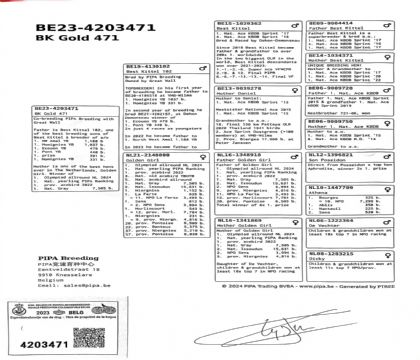 16.最佳基特尔孙代.4203471xx