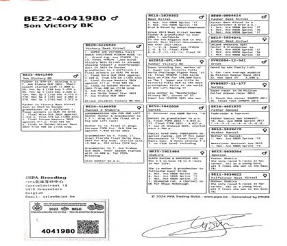 8.最佳基特尔孙代.4041980xx