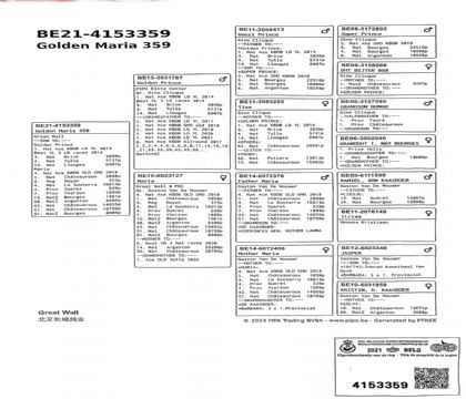 9.黄金王子x玛莉亚.4153359xx