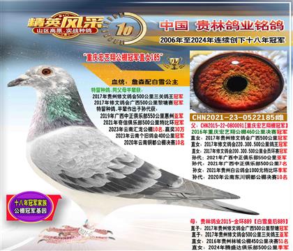 母:重慶宏藝翔公棚冠軍直女