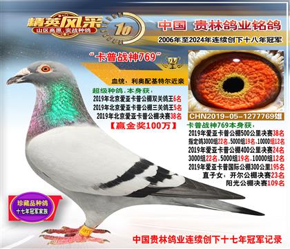 ���������ہ����չ�������5��