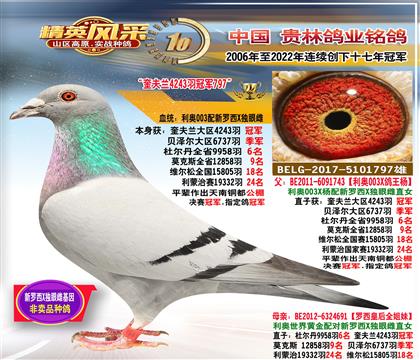 父:利奧4243羽冠軍