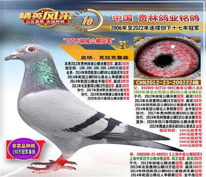 祖母:150萬林城公棚冠軍