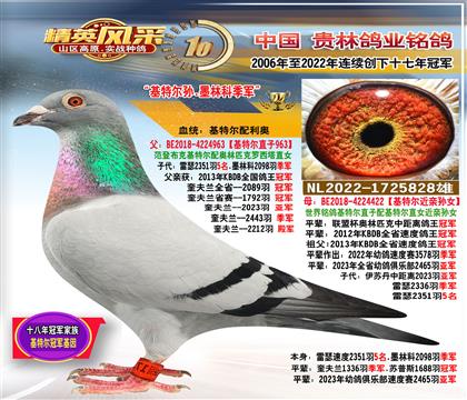 父:基特爾孫.2928羽季軍