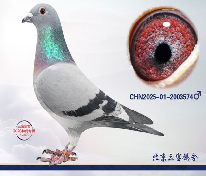 1.����x���ֿ�˹.2003574