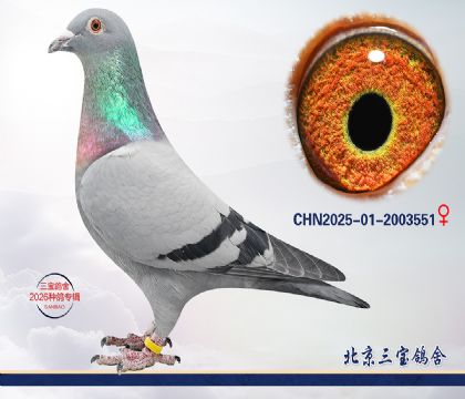 2.����x����.2003551