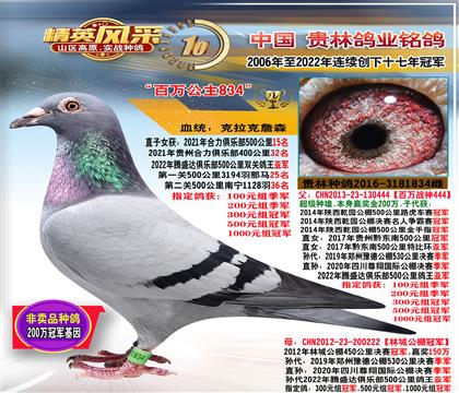 母:500公里鴿王亞軍母親