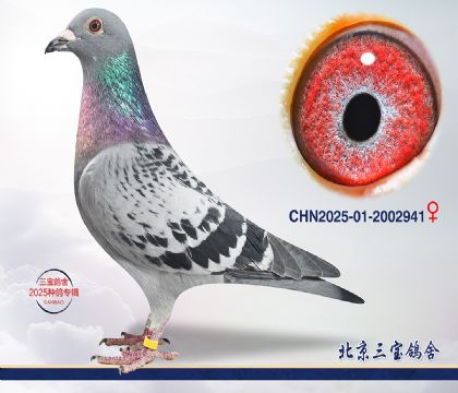 13.����396��Ѫ���cq.2002941