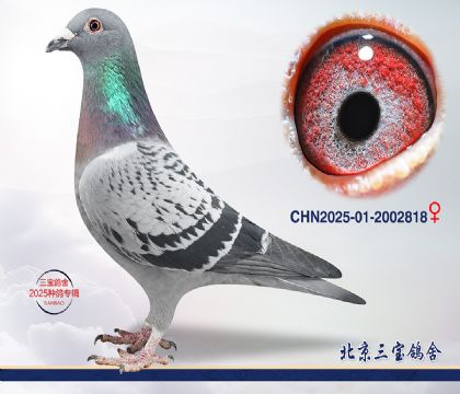 13.���ǲ���x�Ǳ�.2002818