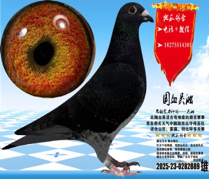 ʵս�������ֿݻ����ۣ�����������ɳʵ�ʸ�Ư��.